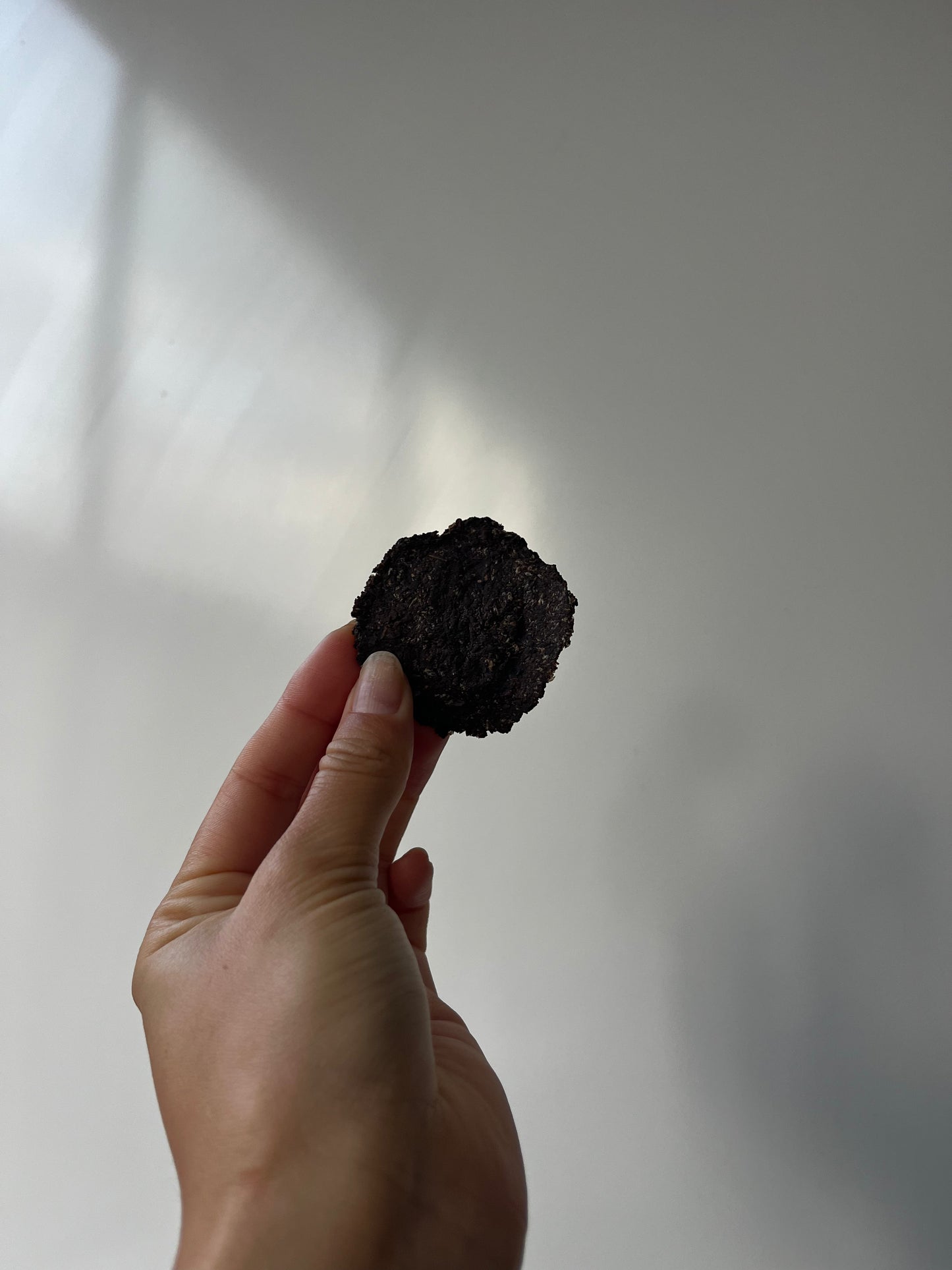 No.1: Chicken Liver Chips